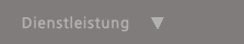 Dienstleistung